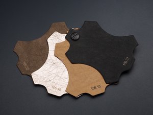 Carta di lavaggio 1980106